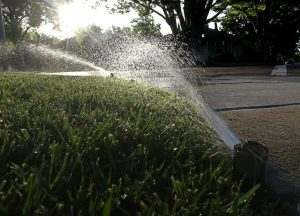 Virginia Governor Declares Emergency To Speed Up Hay Deliveries For Drought Hit