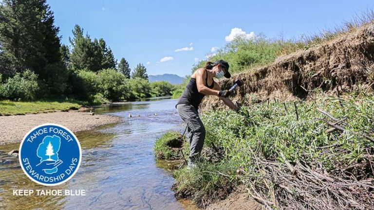 Volunteers Needed For Johnson Meadow Restoration In South Lake Tahoe