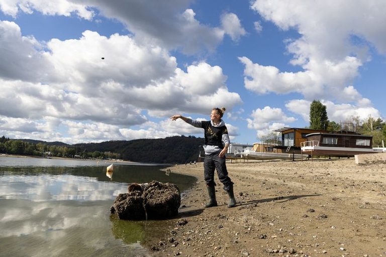 Volunteers Rescue Hundreds Of Thousands Of Mussels As Vltava River Dam Hits Reco