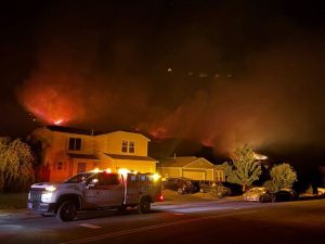 Washoe County Animal Services Rescues 314 Pets And Livestock From Hawk Fire