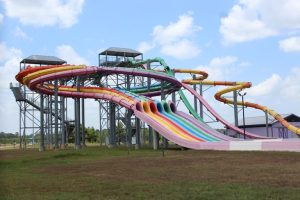 Weekend Family Events In New Caney And Porter Bbq Fest Voting Info Session Car S