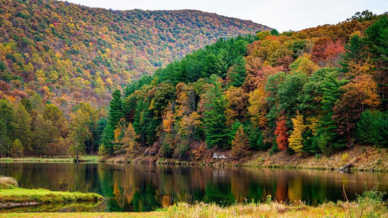 Where To See The Best 2026 Fall Colors In Pennsylvania New Jersey And Delaware
