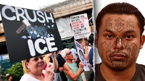 White House Defends Ice Arrests Calls Media Claims Of Non Criminal Immigrants A