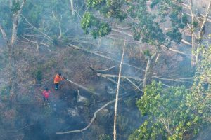 Wildfires Threaten Indonesia S New Capital Nusantara Authorities Call For Cloud