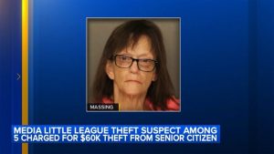 Woman Charged In Fraud Scheme Targeting Media Little League Senior Victim
