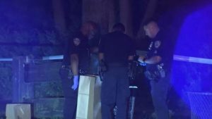 Woman Found Dead Inside Trash Can Near Plumb Beach In Sheepshead Bay