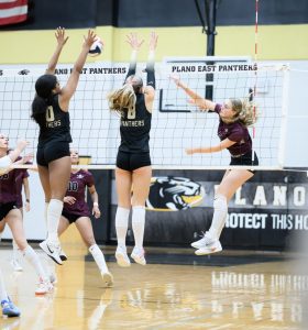 Wylie Pirates Dominate Rowlett To Extend District Winning Streak To 29 Games