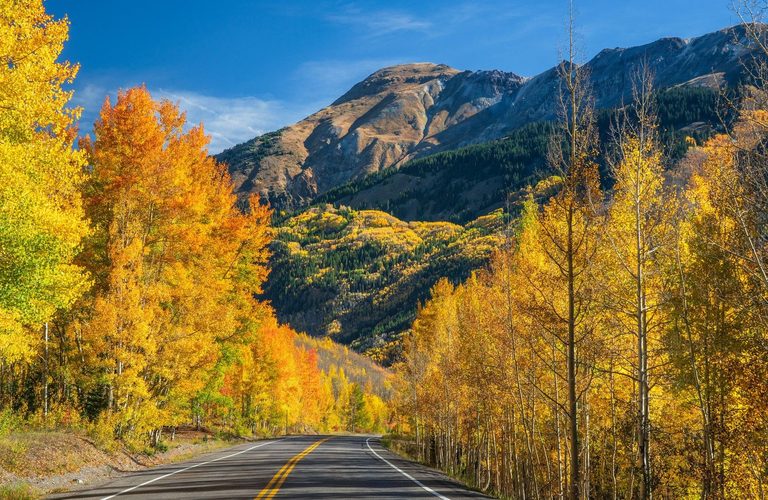 Wyoming Fall Color Road Trip Guide Scenic Routes And Charming Towns