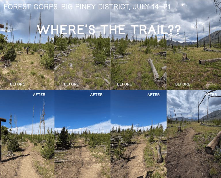 Wyoming Forest Corps Clears 700 Trees And Restores 80 Miles Of Trails
