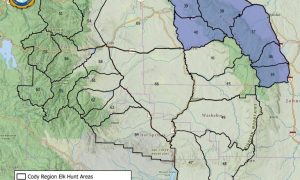Wyoming Game Fish Requests Cwd Samples From Hunters In Targeted Big Horn Basin A