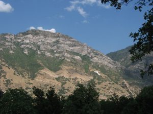 Y Mountain Trail — Provo