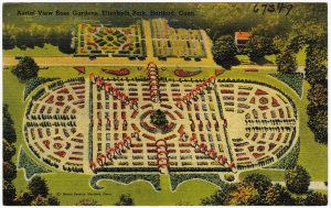 Elizabeth Park Rose Garden — Hartford