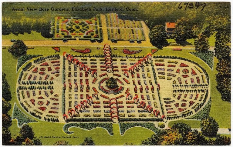 Elizabeth Park Rose Garden — Hartford