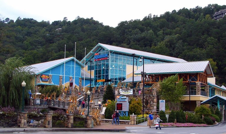 Tennessee Aquarium — Nashville