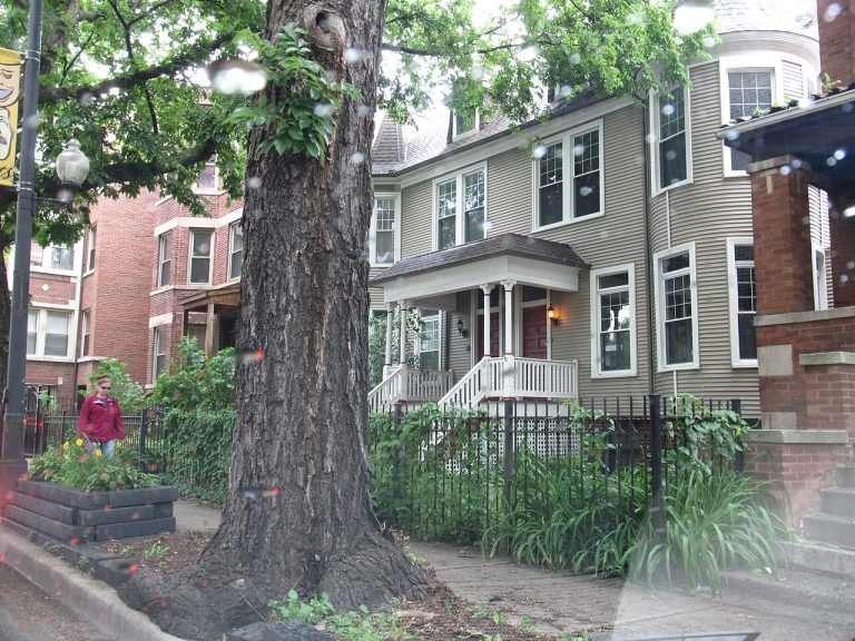 Devon Avenue (Rogers Park/West Ridge) — Chicago