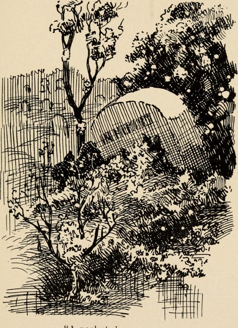 Sweet Grass — Memphis