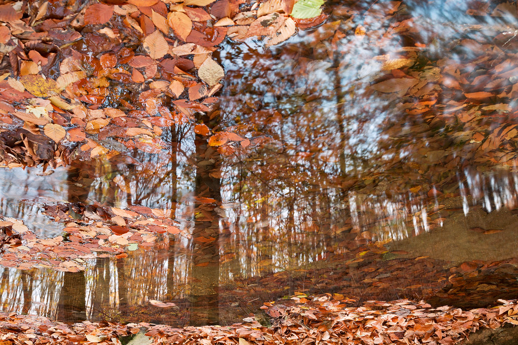 Patapsco Valley State Park — Baltimore