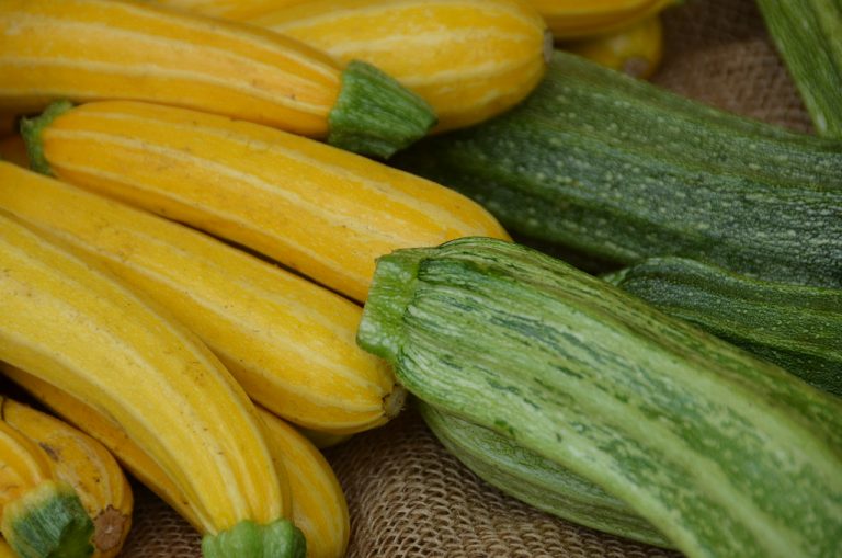 Hillcrest Farmers Market — San Diego