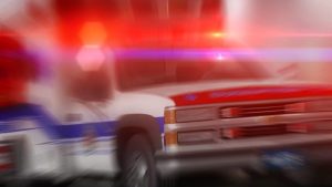 23 Year Old Dies After Cadillac Crash Into Telephone Pole On State Street In Sal