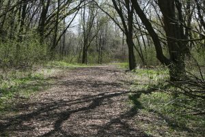 Havenwoods State Forest to Unveil Accessible Braille Trail in Milwaukee
