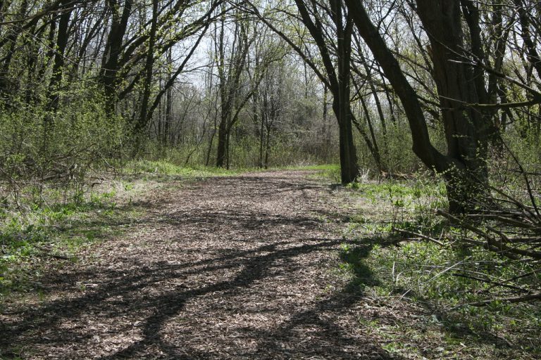 Havenwoods State Forest to Unveil Accessible Braille Trail in Milwaukee