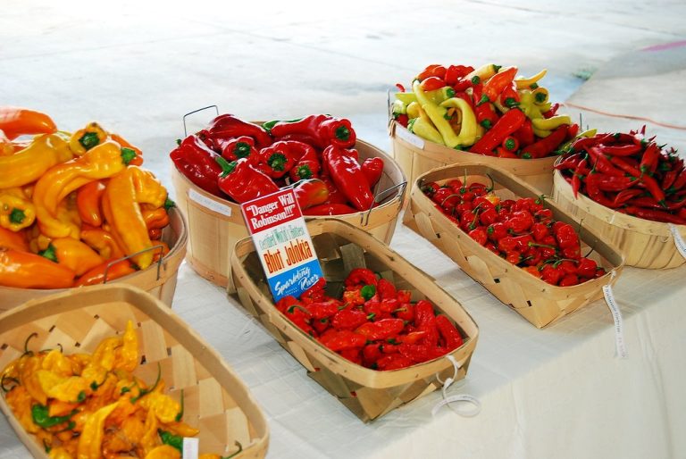 Memphis Farmers Market — Memphis