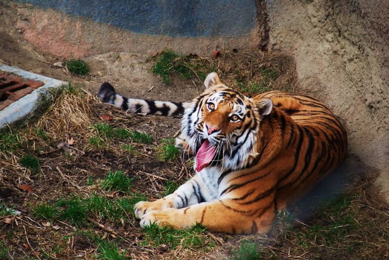 Columbus Zoo & Aquarium — Columbus