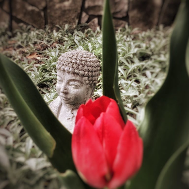 Zen Garden — Omaha
