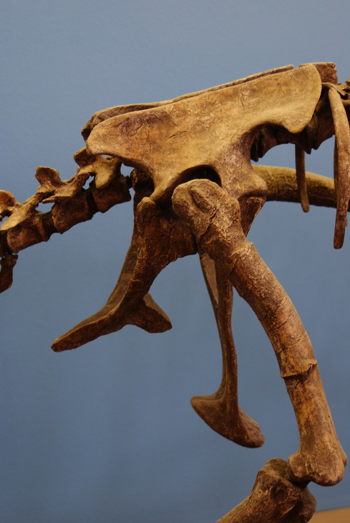Natural History Museum of Utah — Salt Lake City