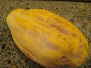 Persimmon — Providence
