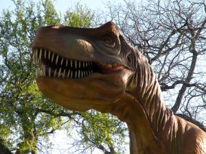 Witte Museum Takes San Antonians on a Delicious Journey Through Texas Food History