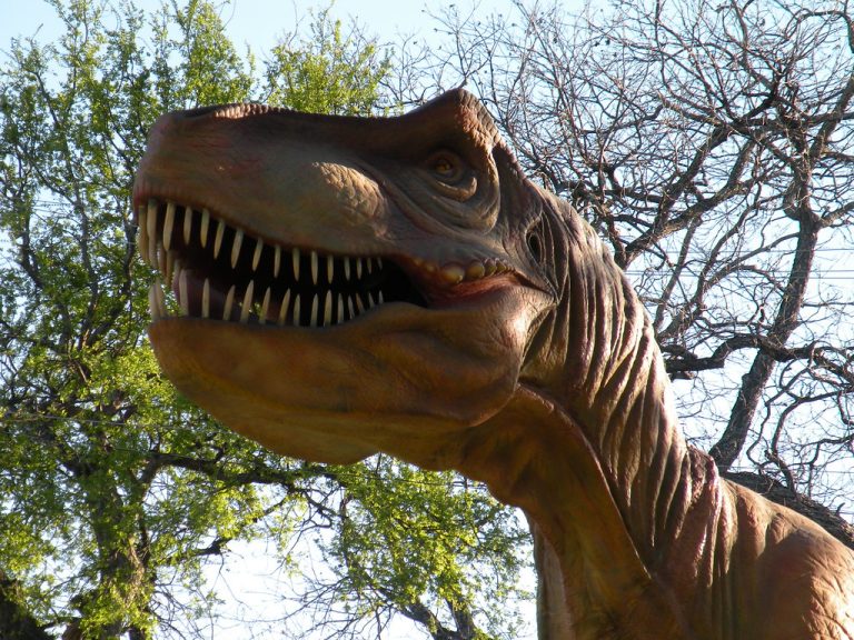 Witte Museum Takes San Antonians on a Delicious Journey Through Texas Food History