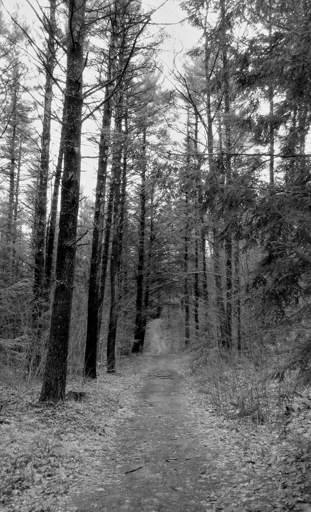Lake Massabesic — Manchester