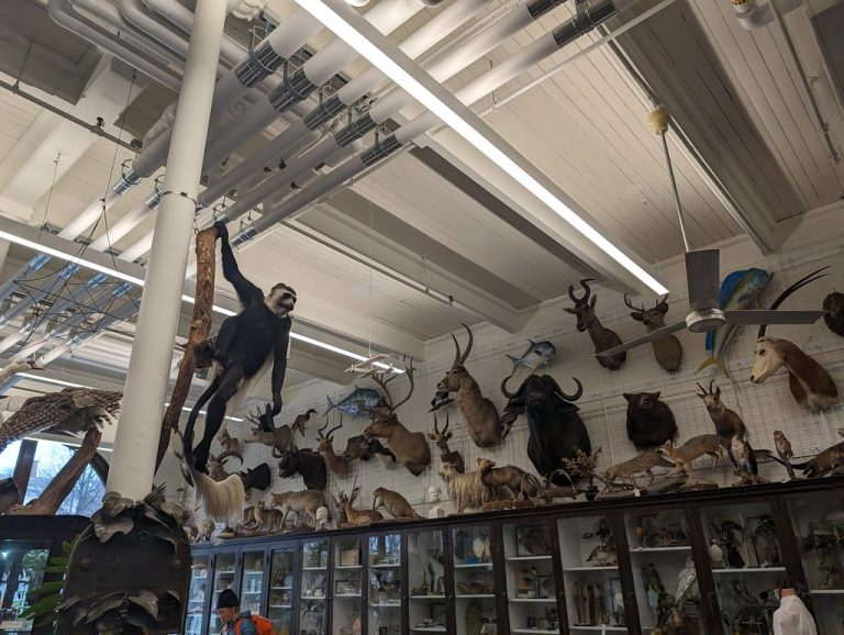 Nature Lab at RISD — Providence
