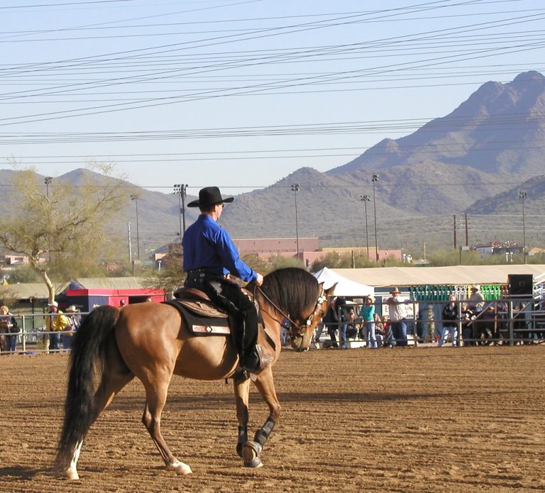 Scottsdale Arabian Horse Show at WestWorld of Scottsdale — Scottsdale