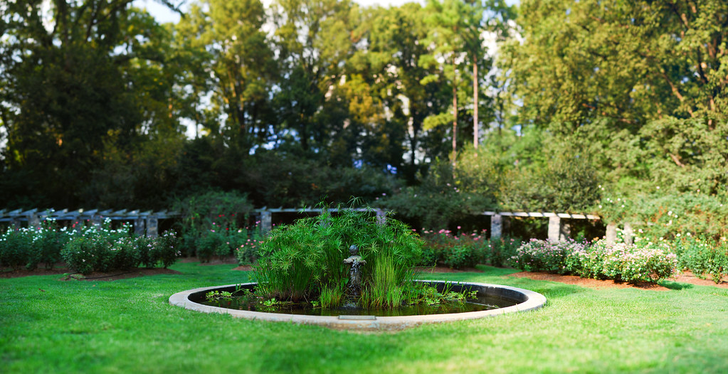 Raleigh Rose Garden — Raleigh