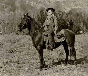 Teton County Library — Jackson Hole