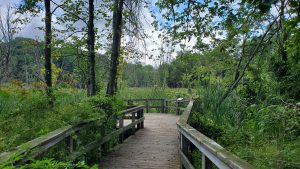 Edgewood Park — New Haven