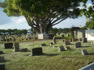 Woodlawn Cemetery – West Palm Beach — West Palm Beach