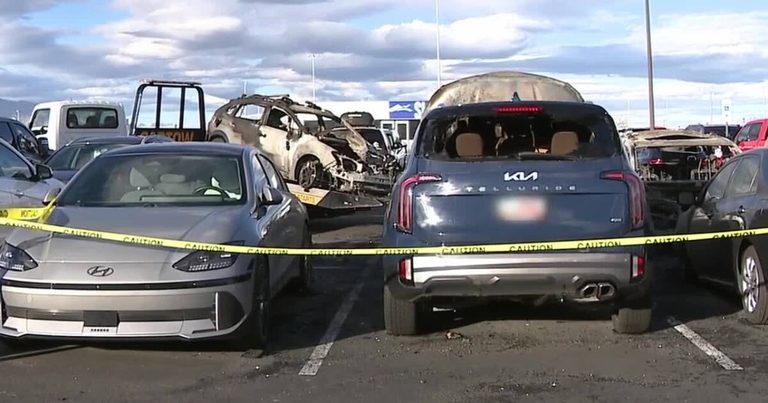 Airport Fire Investigators Locate Origin Of Parking Lot Blaze That Destroyed Doz