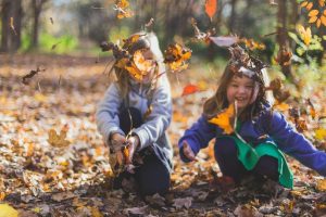 Alabama 2026 Peak Fall Foliage Guide When And Where To See The Colors