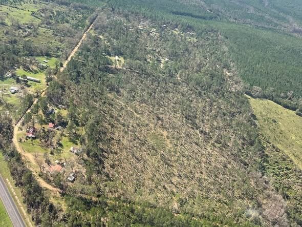 Alabama Forestry Commission Estimates 33 5 Million Timber Loss From Hurricane Is