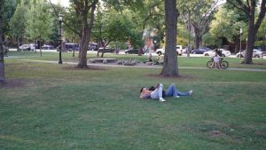 Alderman La Spata Orders Feasibility Study For Pedestrian Redesign Around Palmer