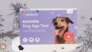 Amazon Prime Big Deal Days Offers Up To 20 Off Embark Dog Dna Tests