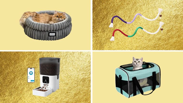 Amazon Prime Day Offers Major Discounts On Essential Cat Supplies