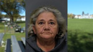 Amsterdam Youth Soccer League Restored After Board Misuse Investigation