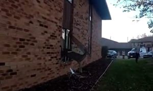 Appleton Police Remind Residents To Watch For Deer After Animal Breaks Apartment