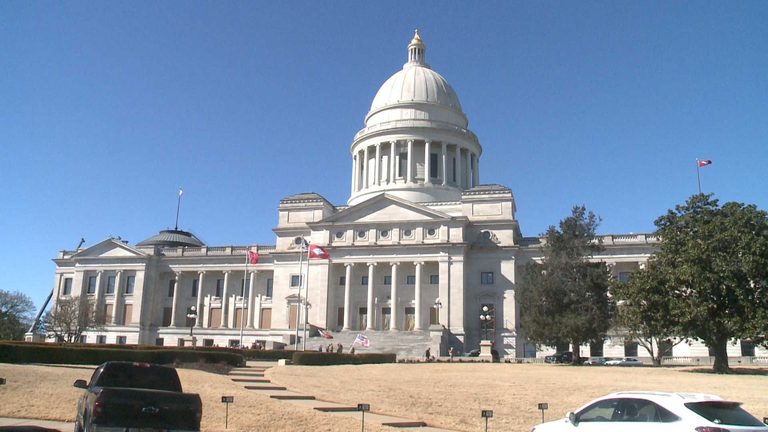 Arkansas House District 8 Holds Both General And Special Elections In November
