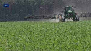 Arkansas Rice Growers Urge Senate Candidates To Act On Farm Bill And Trade