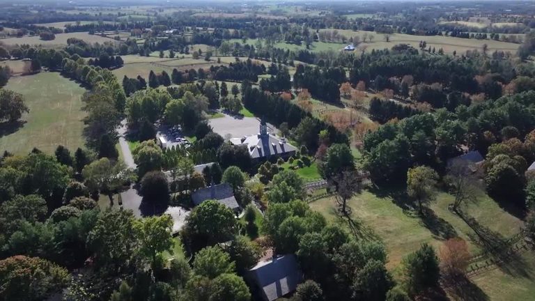 Ashford Stud Showcases Kentucky S Global Horse Breeding Leadership